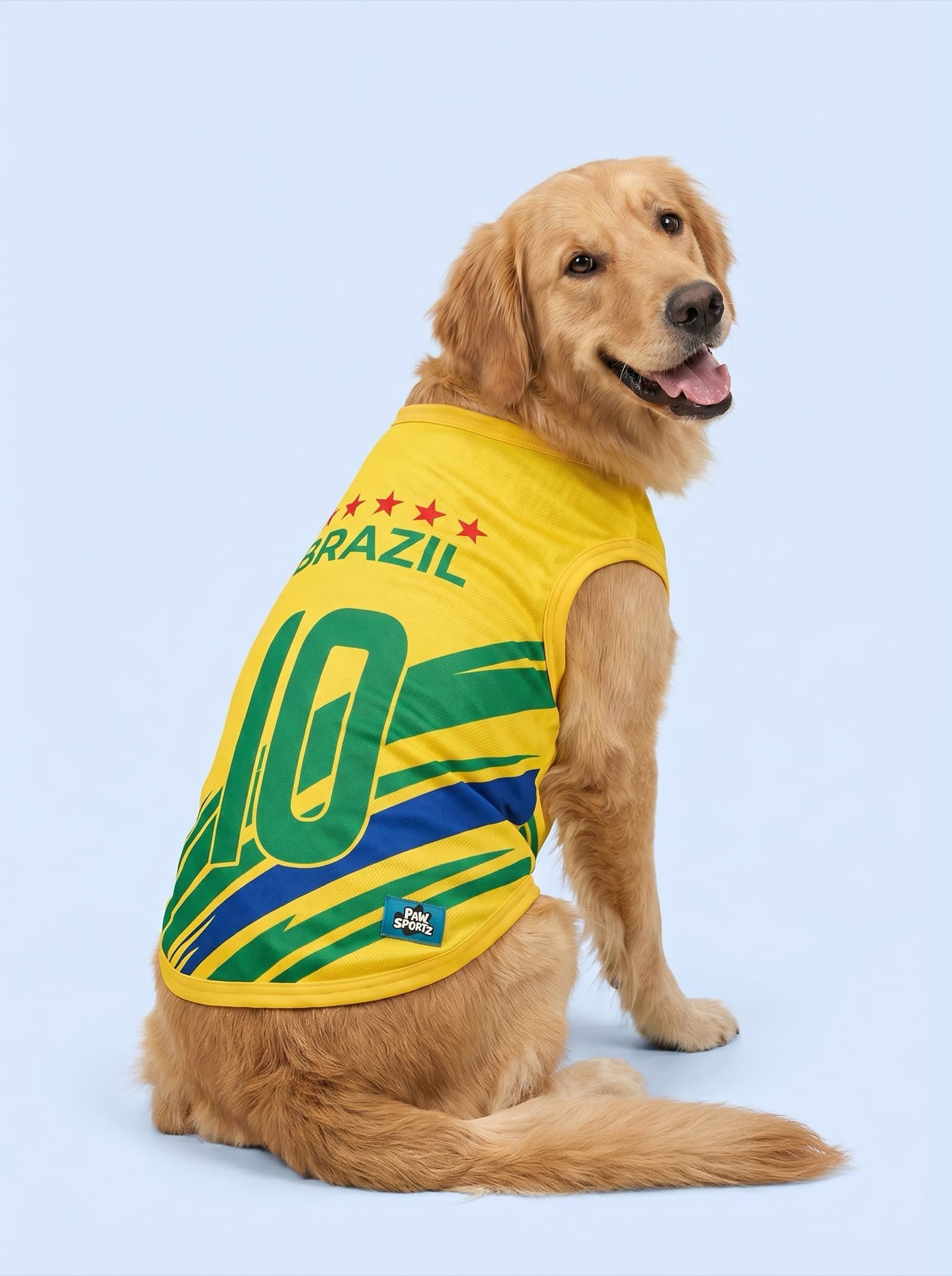 Brazil fan jersey
