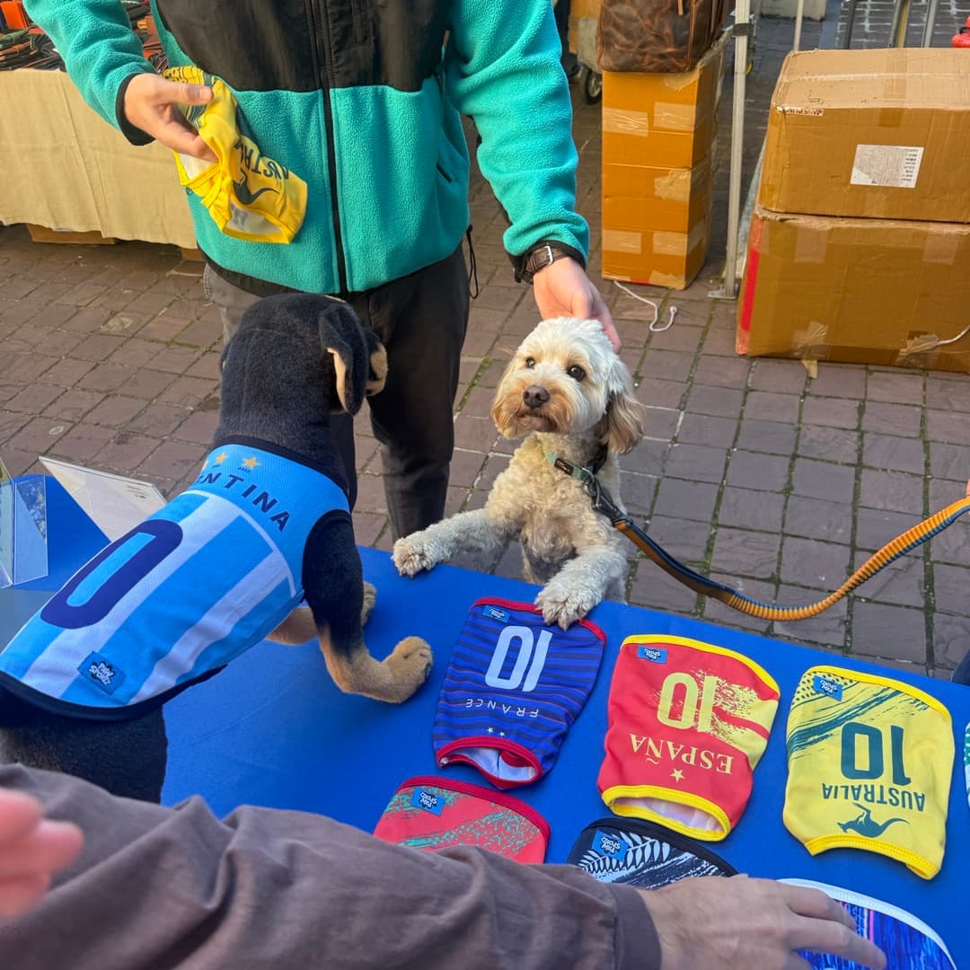 The Paw Sportz market stall with the full kit lineup