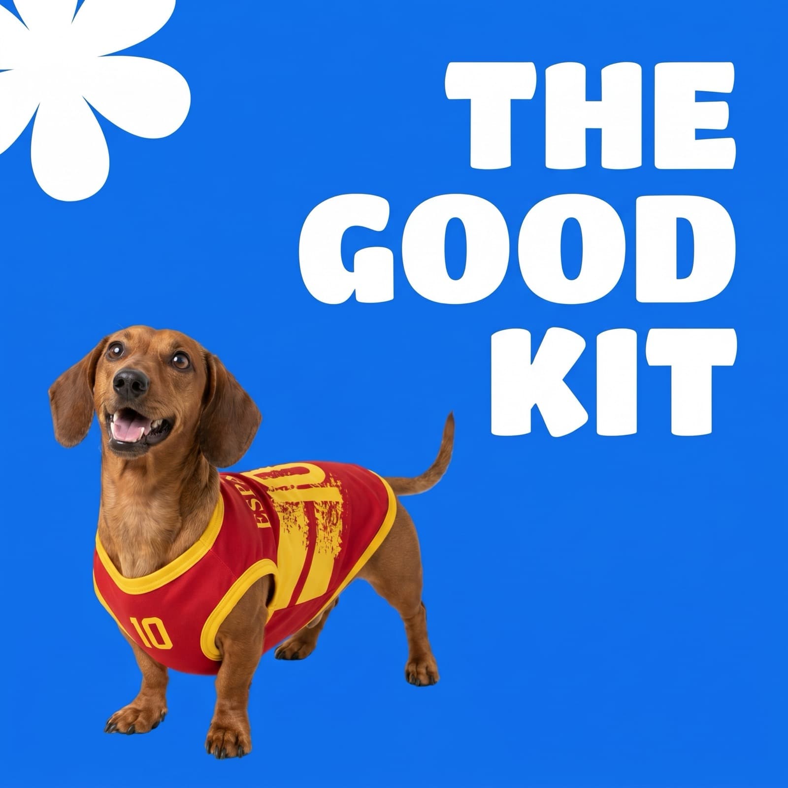Dachshund in the Spain jersey on a blue ground: The Good Kit