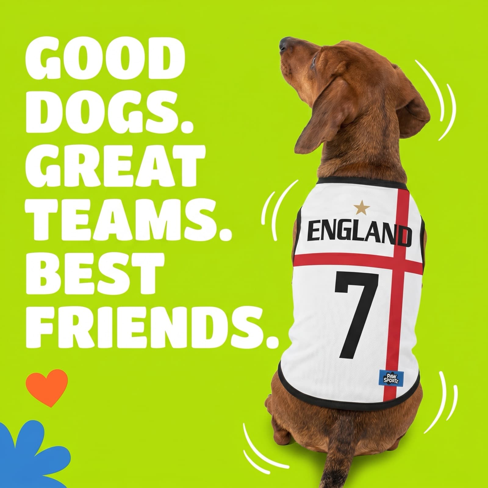 Dachshund in the England jersey: Good Dogs. Great Teams. Best Friends.