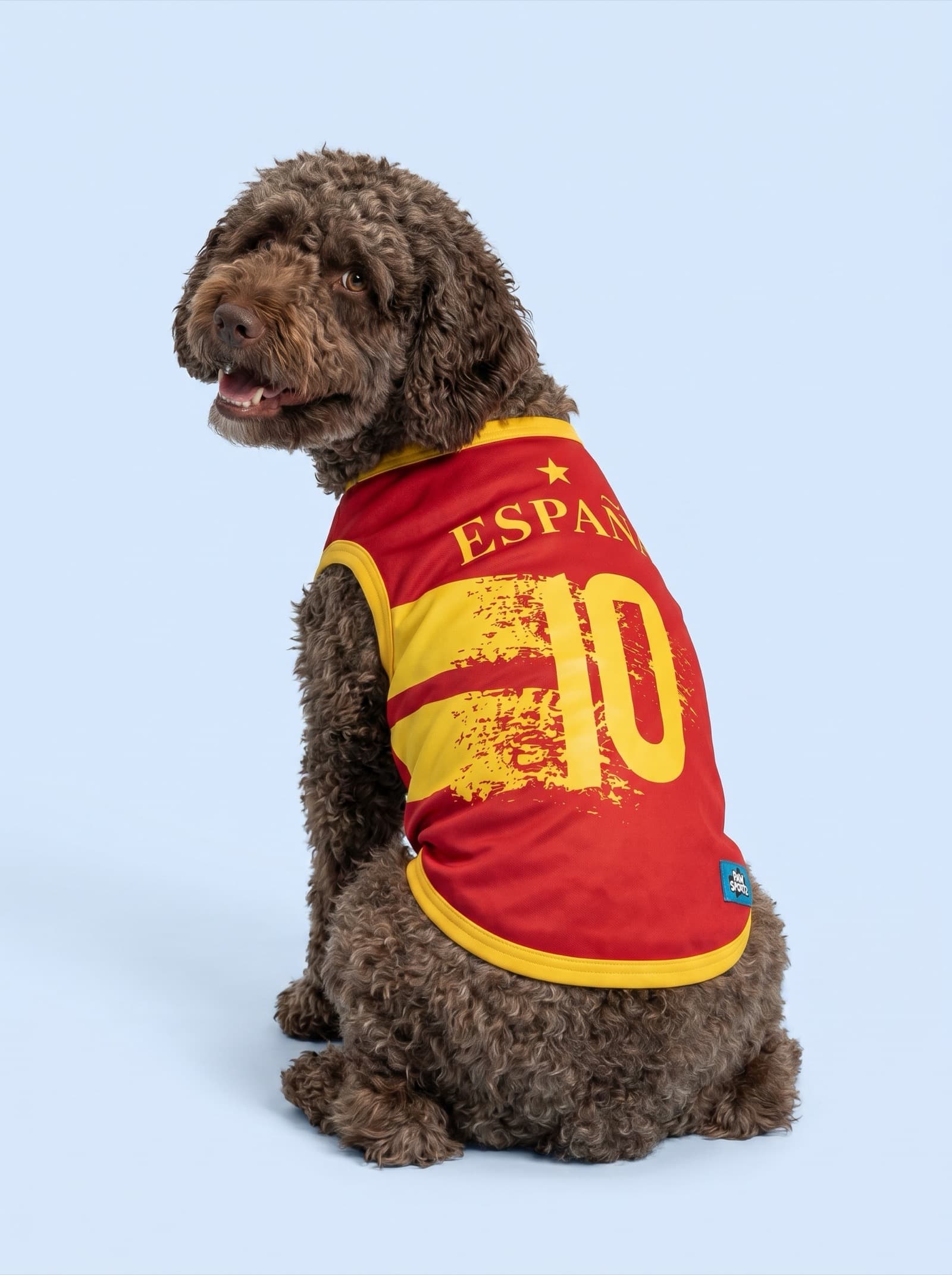 Spain fan jersey